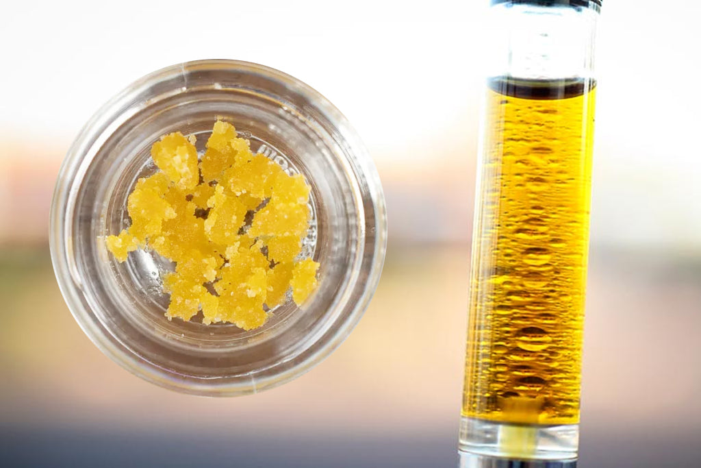 Cannabis Oil vs Wax: What’s the Difference?