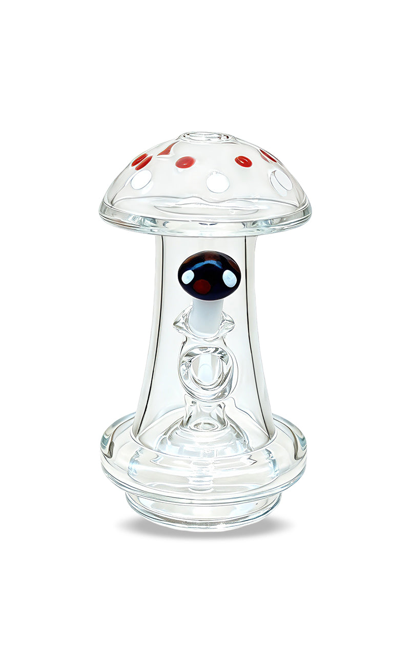 Bomb Erig Myco Dry Top