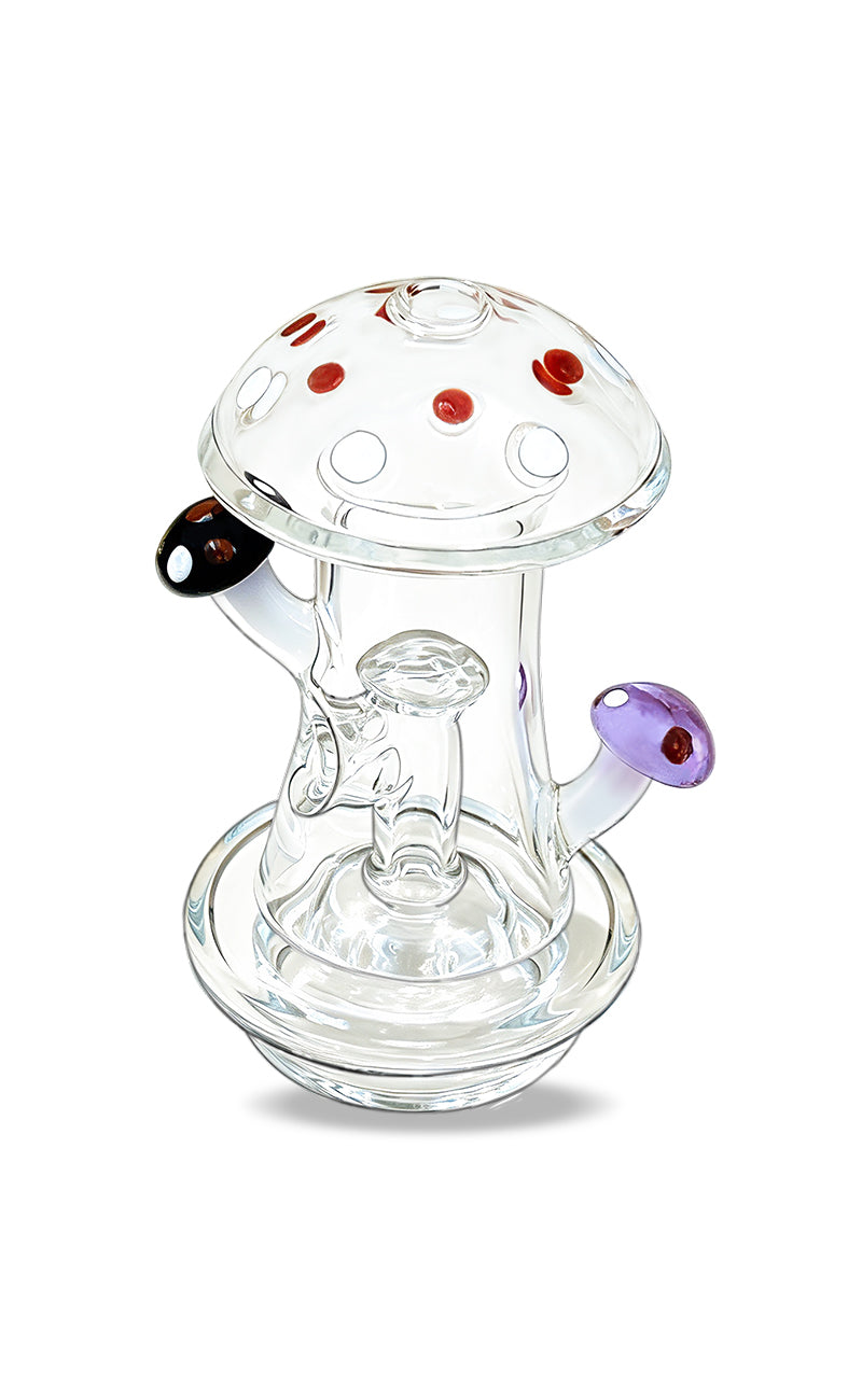Bomb Erig Myco Dry Top